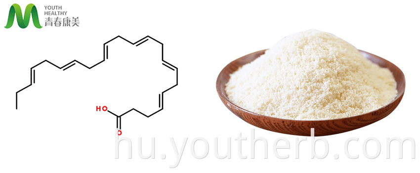 DHA powder